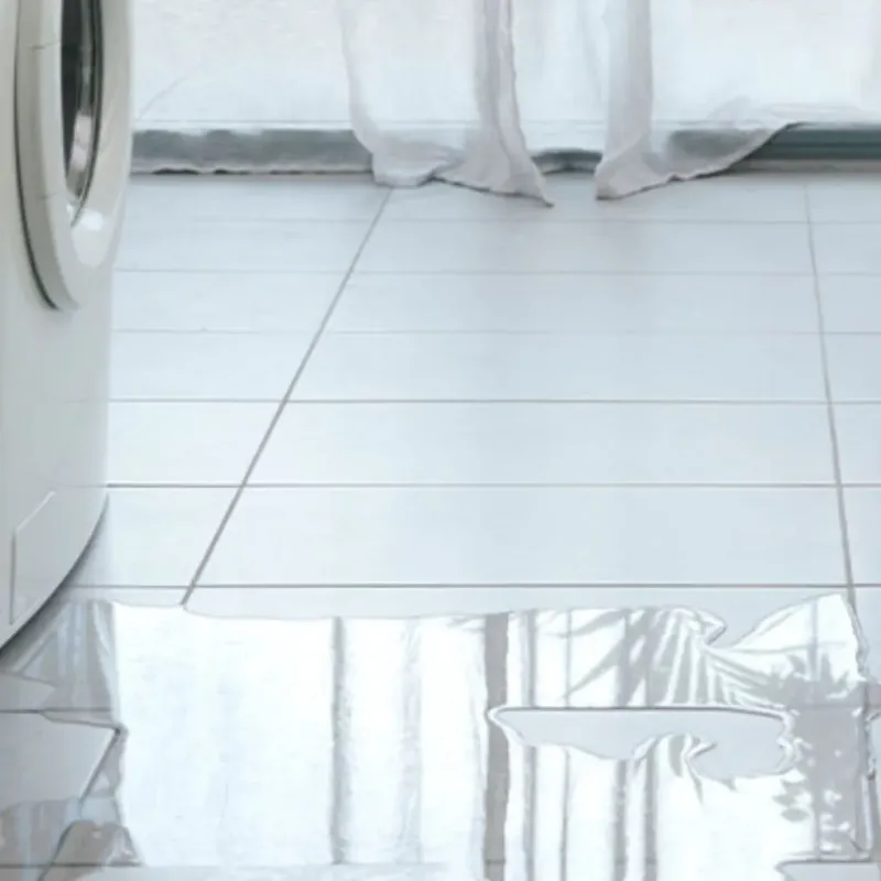 Appliance Leak Cleanup in Gateway, AK