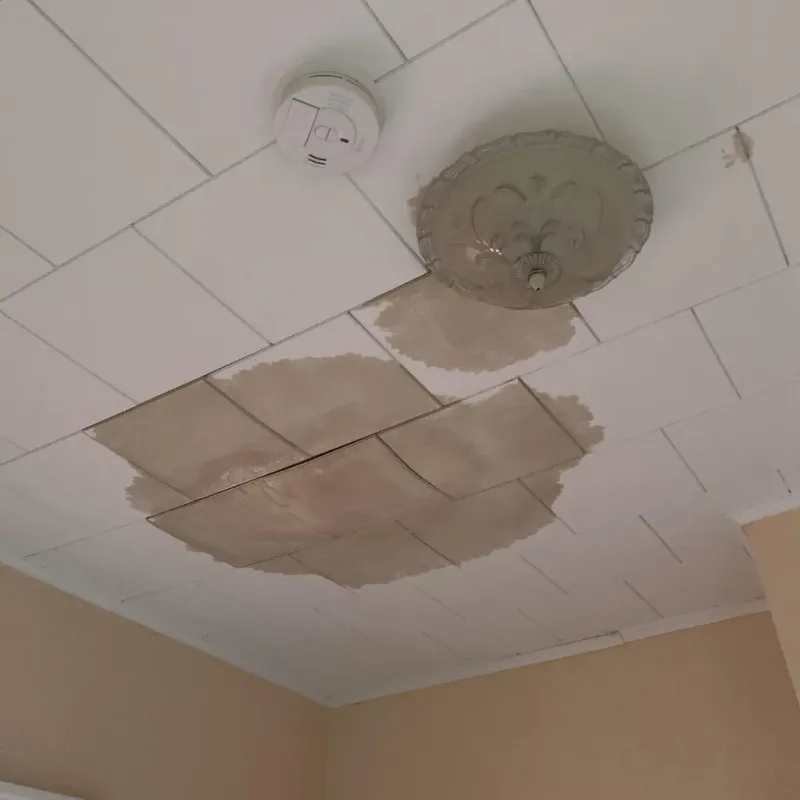 Ceiling Water Damage Repair in Gateway, AK