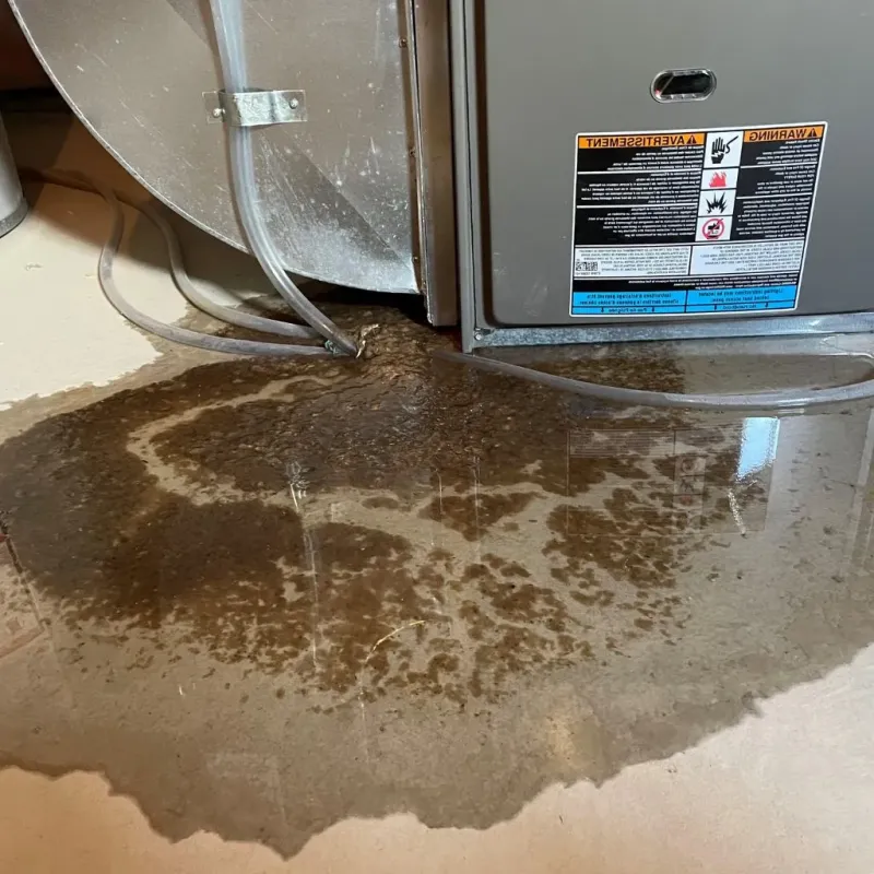 Pipe Burst and Leak Restoration in Gateway, AK